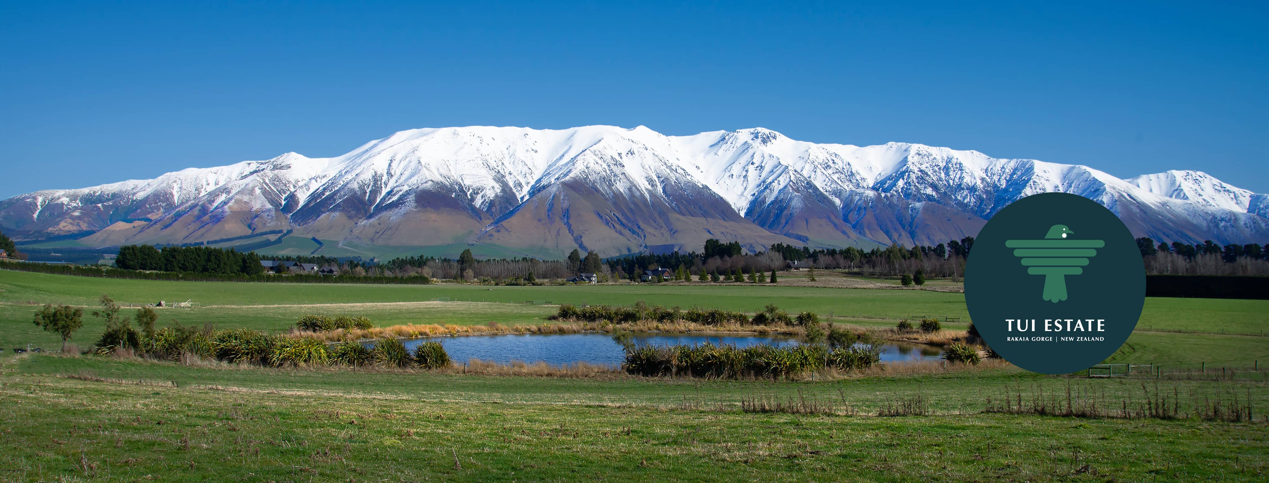 Tui Estate, Canterbury