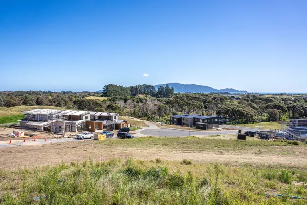 Anderson Park, Waikanae development image