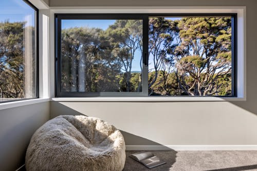 Bright, comfortable room with large black-framed high-performance windows overlooking sunlit coastal trees, demonstrating how window design brings natural light and outdoor views into the home.